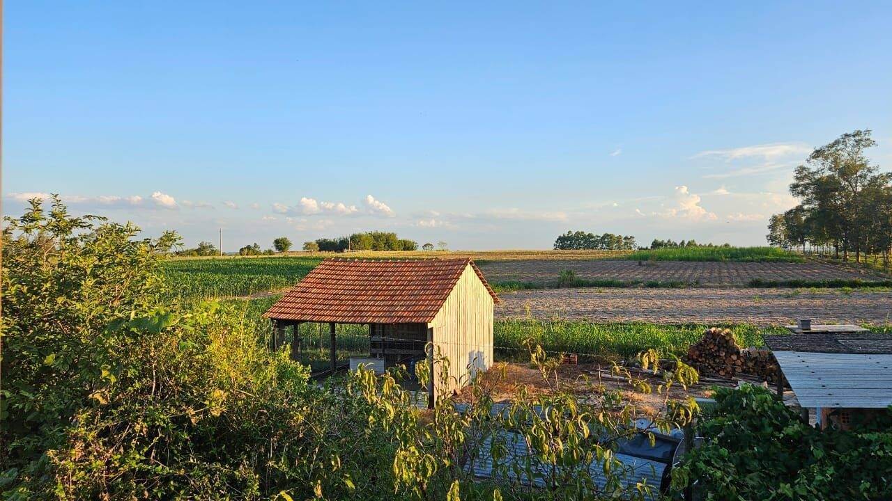 Fazenda à venda com 3 quartos, 250m² - Foto 15