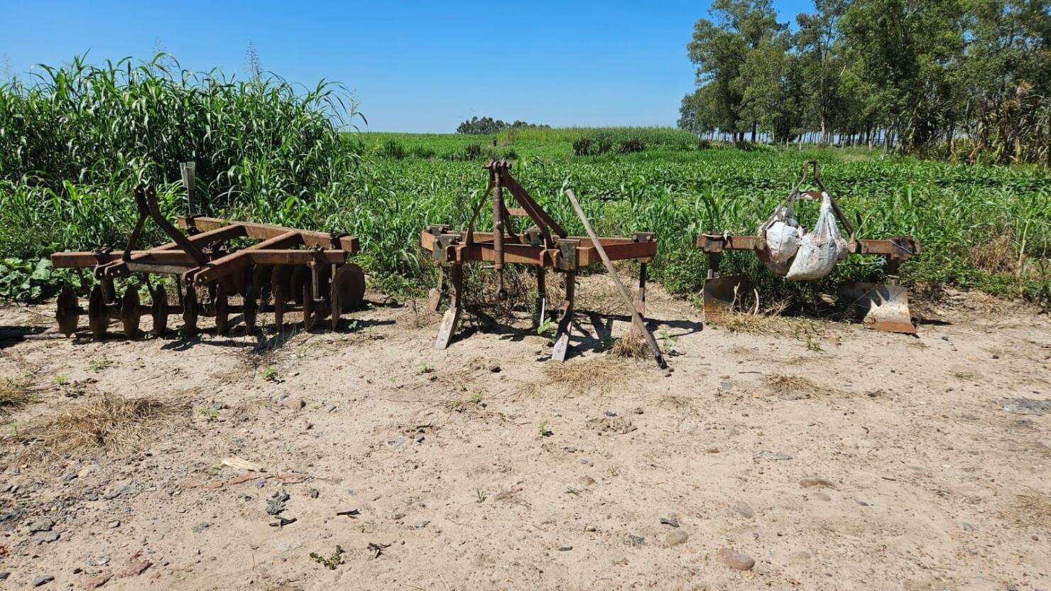 Fazenda à venda com 3 quartos, 250m² - Foto 19