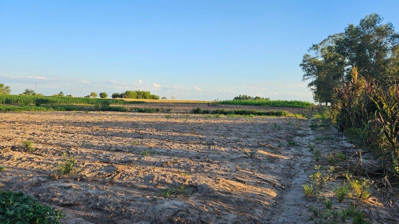 Fazenda à venda com 3 quartos, 250m² - Foto 20