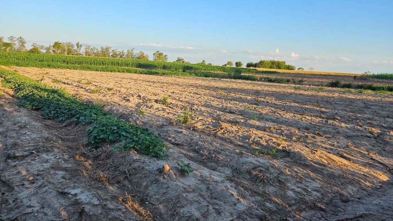 Fazenda à venda com 3 quartos, 250m² - Foto 21