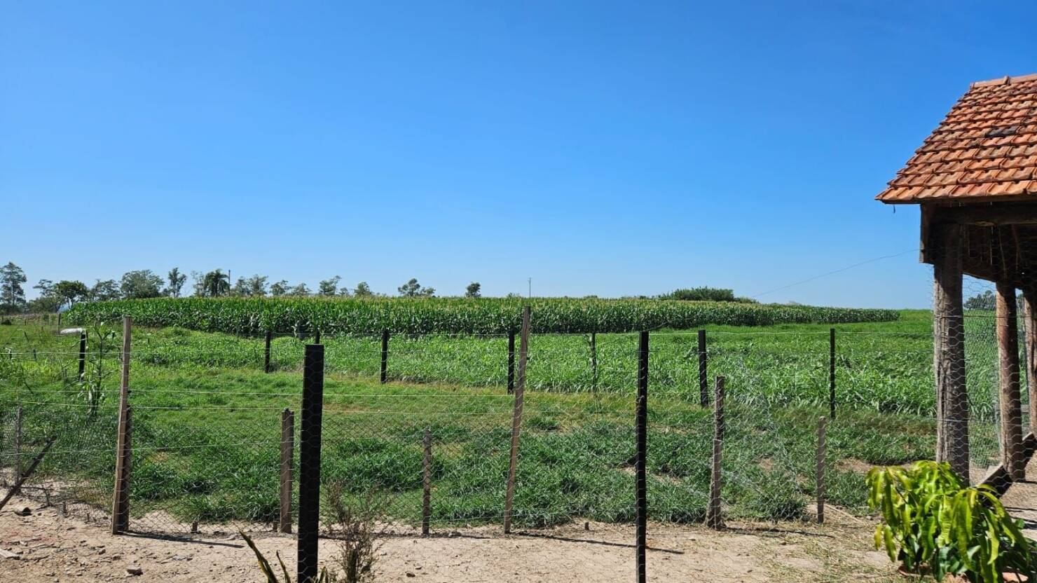 Fazenda à venda com 3 quartos, 250m² - Foto 27