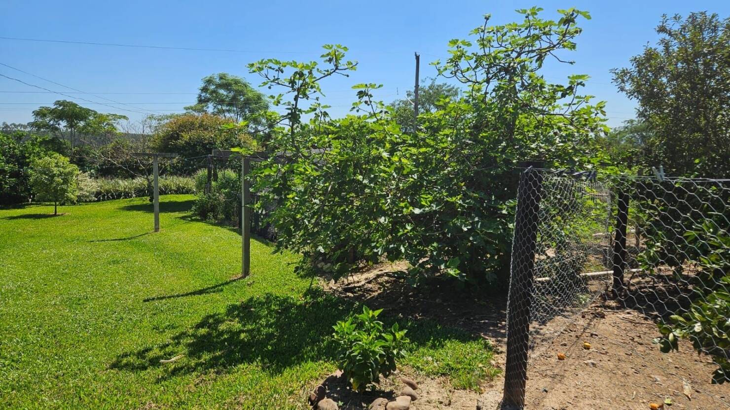 Fazenda à venda com 3 quartos, 250m² - Foto 28