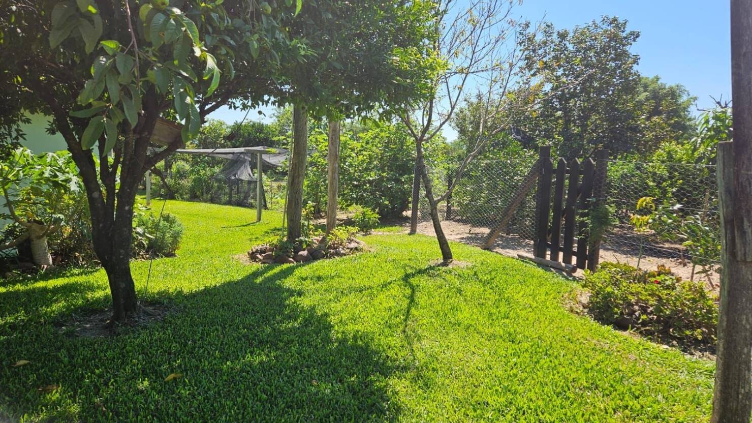 Fazenda à venda com 3 quartos, 250m² - Foto 29