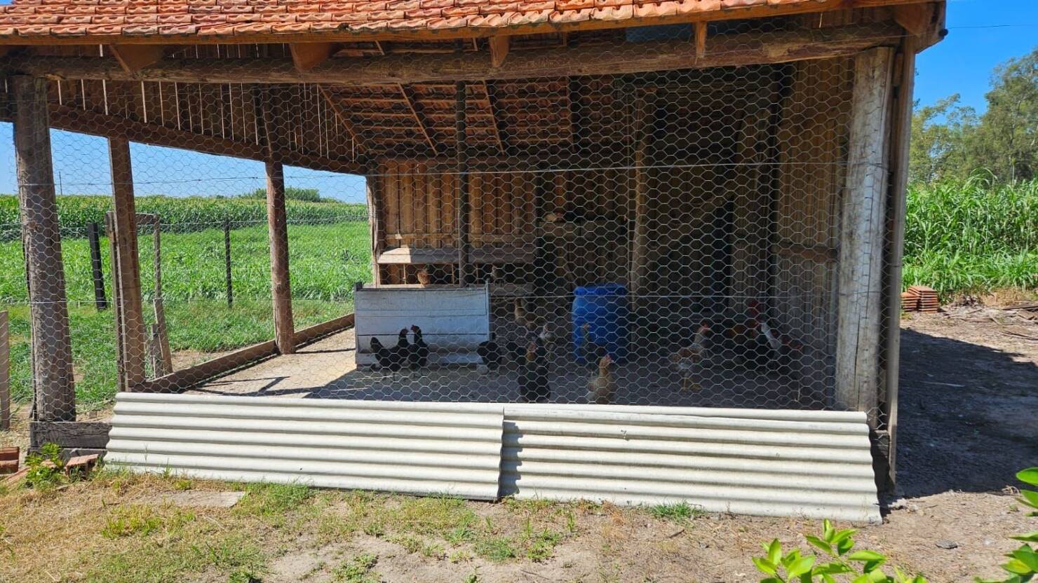 Fazenda à venda com 3 quartos, 250m² - Foto 30