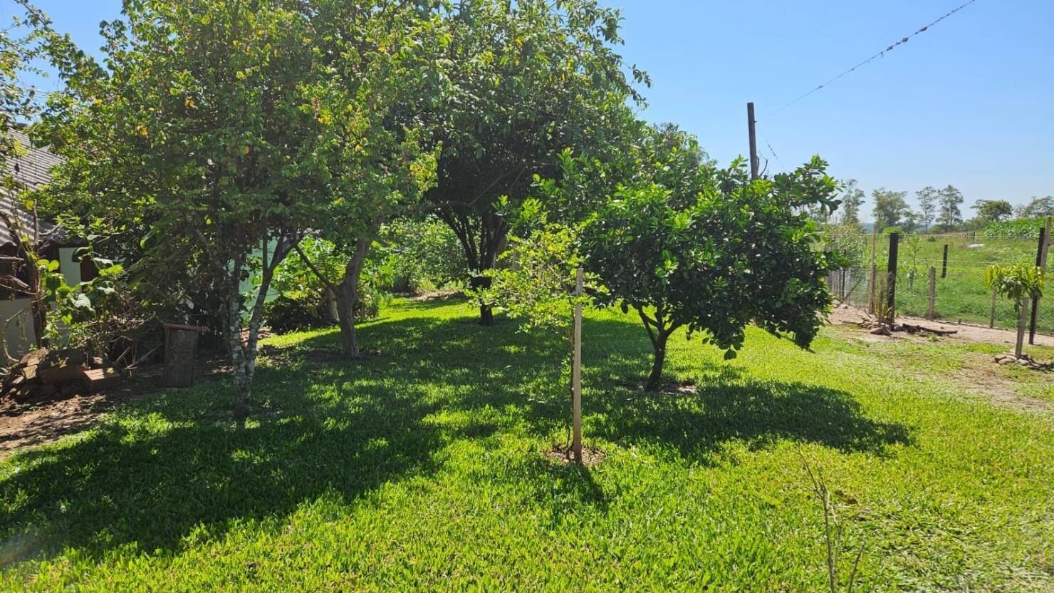 Fazenda à venda com 3 quartos, 250m² - Foto 31