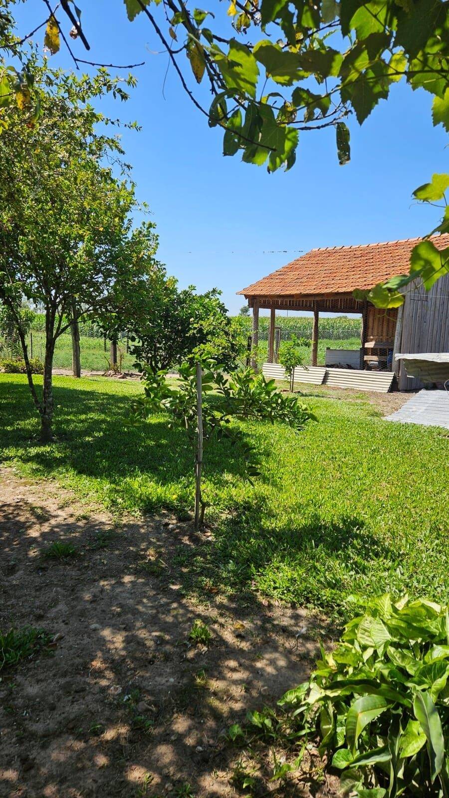 Fazenda à venda com 3 quartos, 250m² - Foto 32