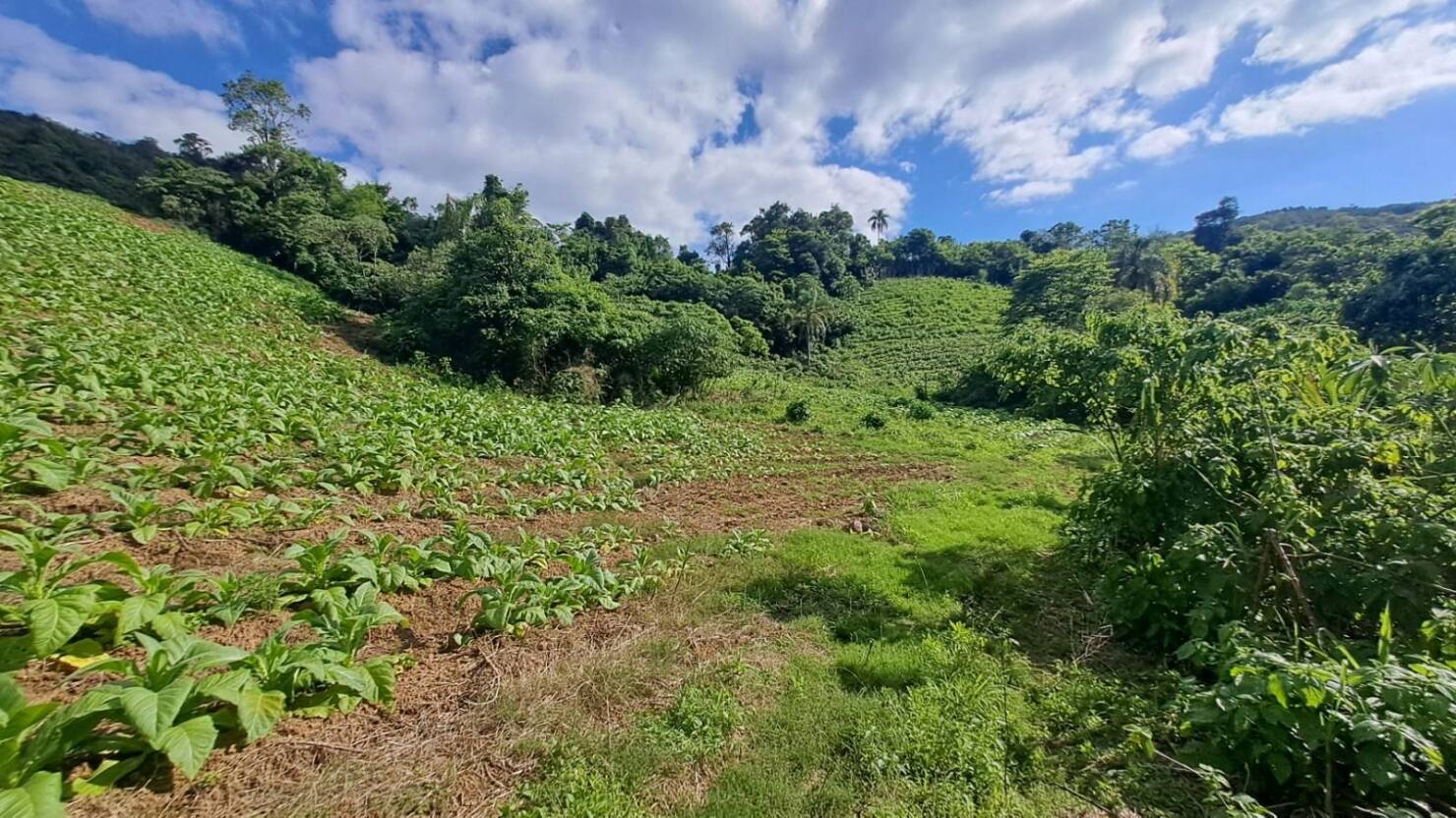 Chácara à venda com 2 quartos, 120m² - Foto 10