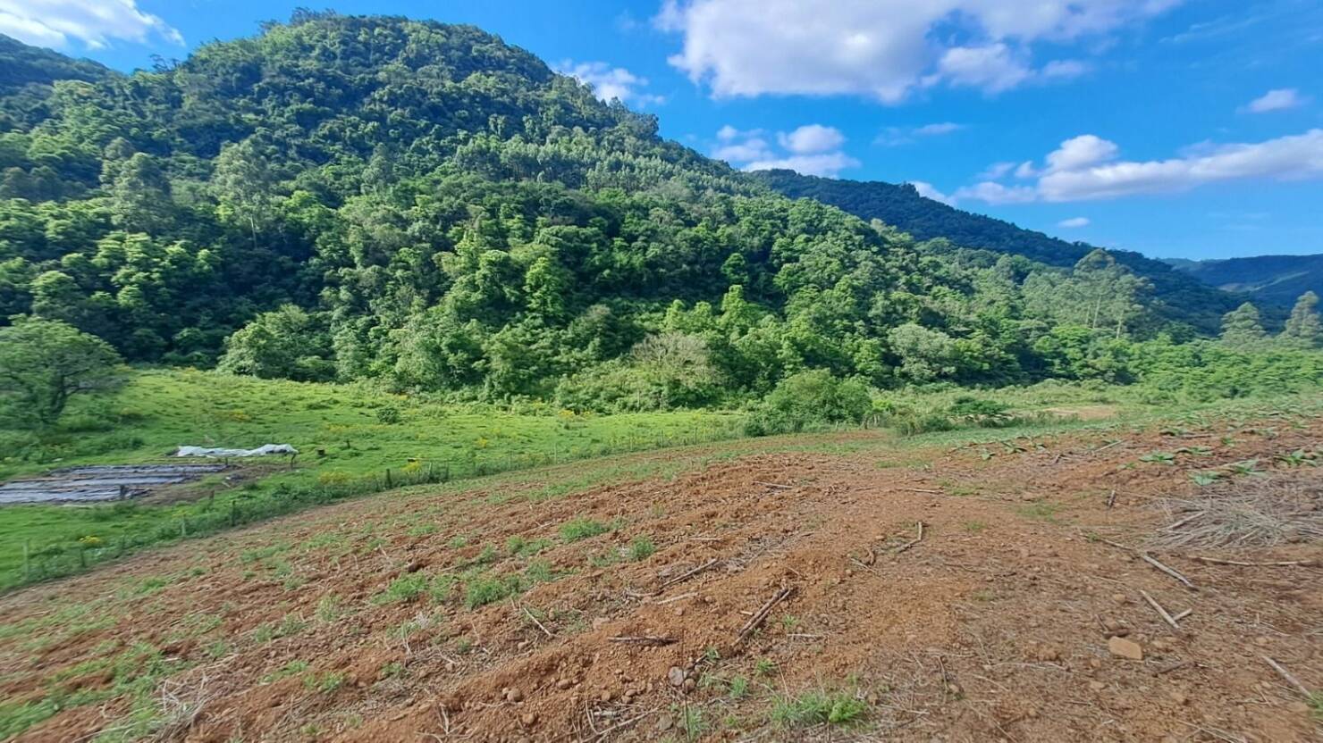 Chácara à venda com 2 quartos, 120m² - Foto 13