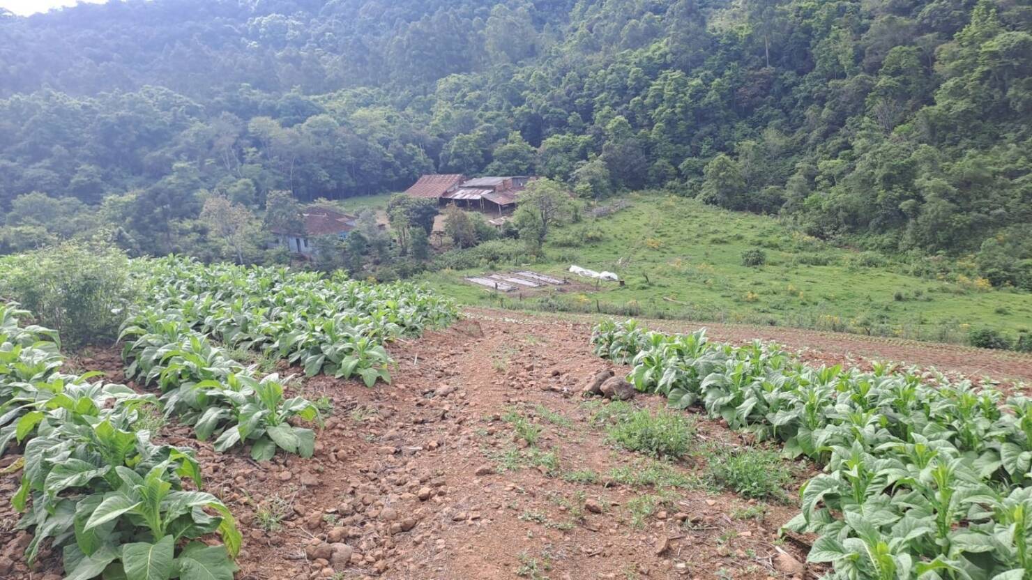 Chácara à venda com 2 quartos, 120m² - Foto 14