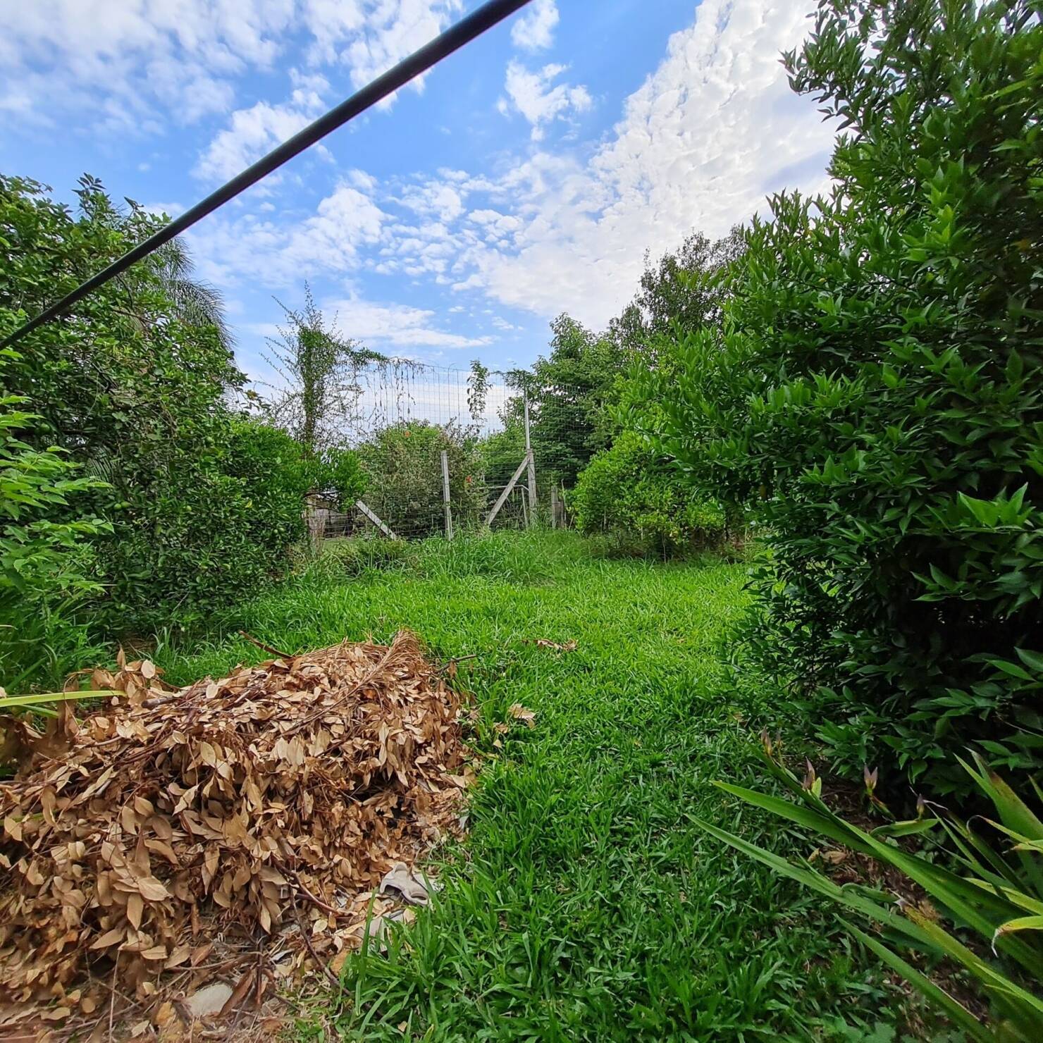 Casa, 1 quarto, 170 m² - Foto 13