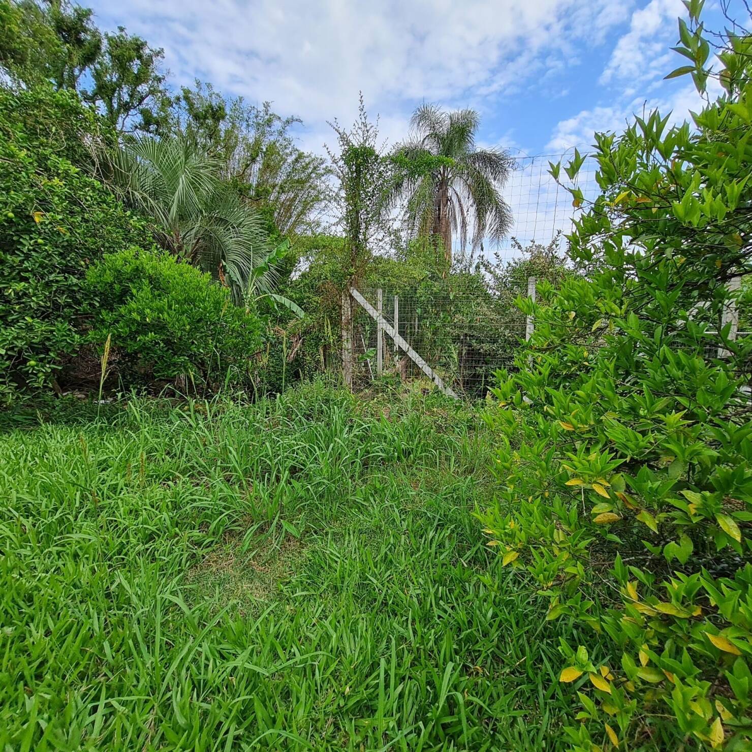 Casa, 1 quarto, 170 m² - Foto 14