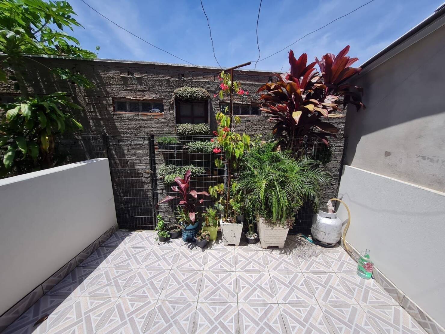 Apartamento, 22 quartos, 66 m² - Foto 22