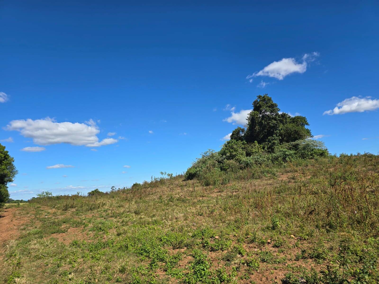 Terreno à venda, 77000m² - Foto 10