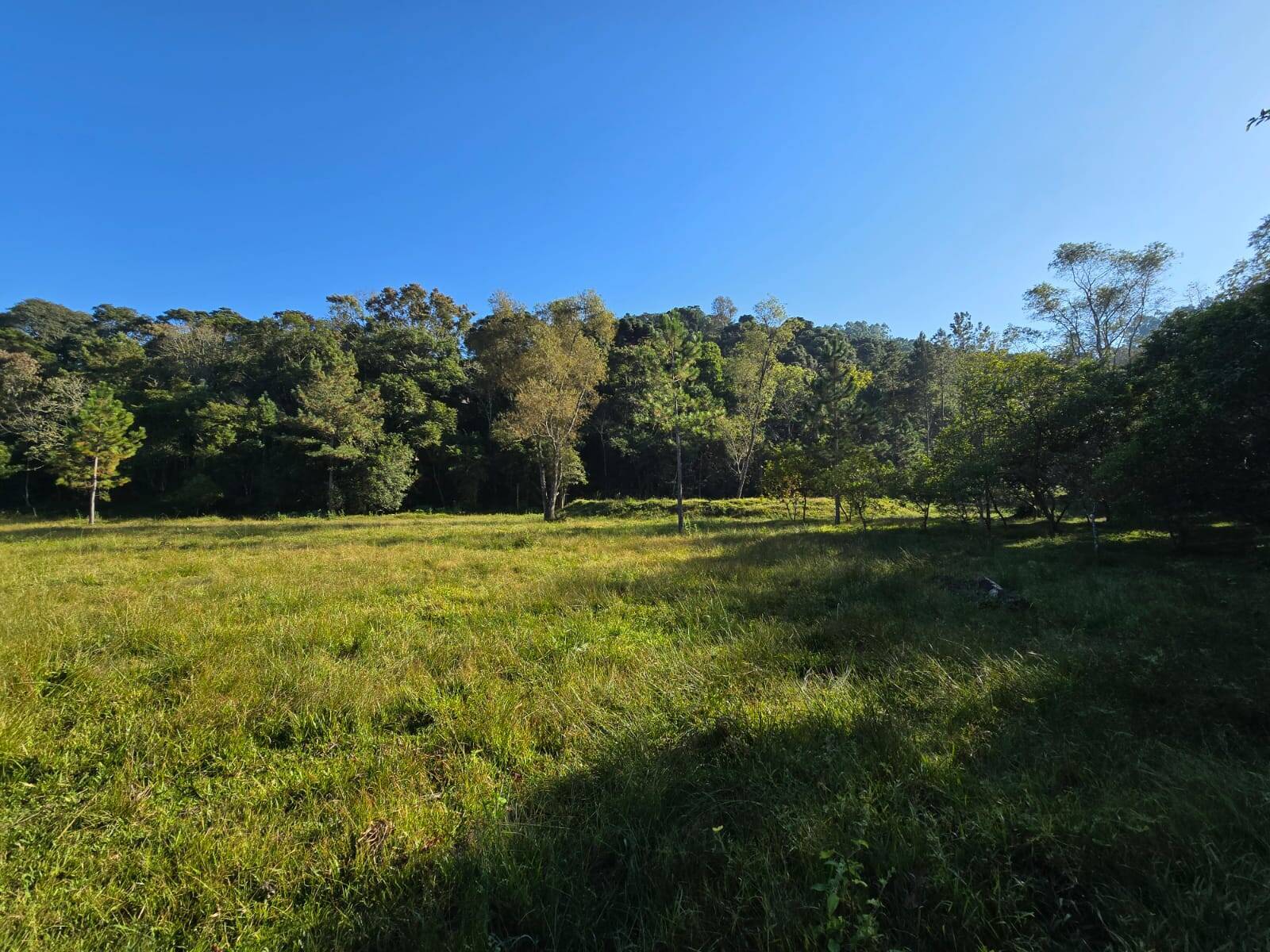 Terreno, 3 m² - Foto 4