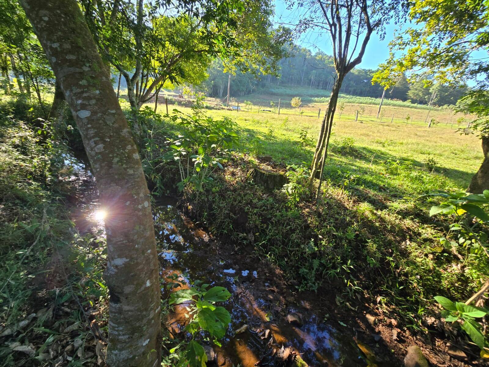 Terreno, 3 m² - Foto 7