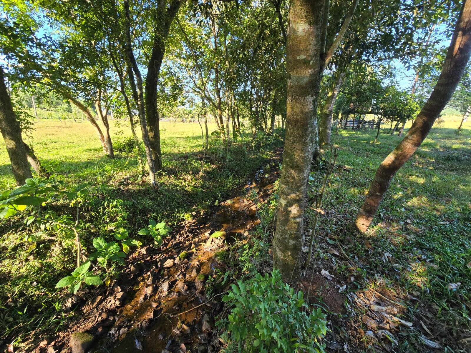 Terreno, 3 m² - Foto 8