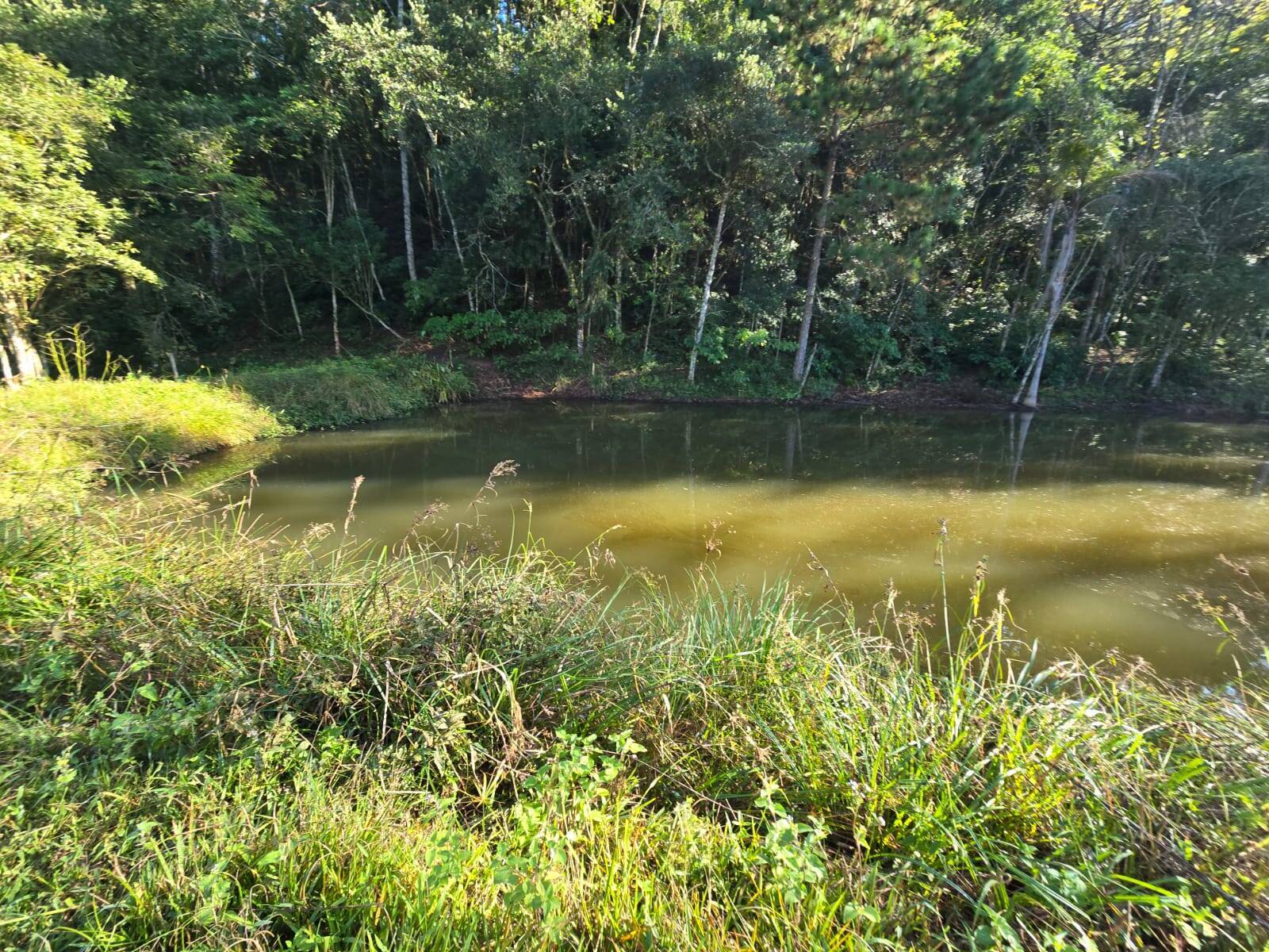 Terreno, 3 m² - Foto 3