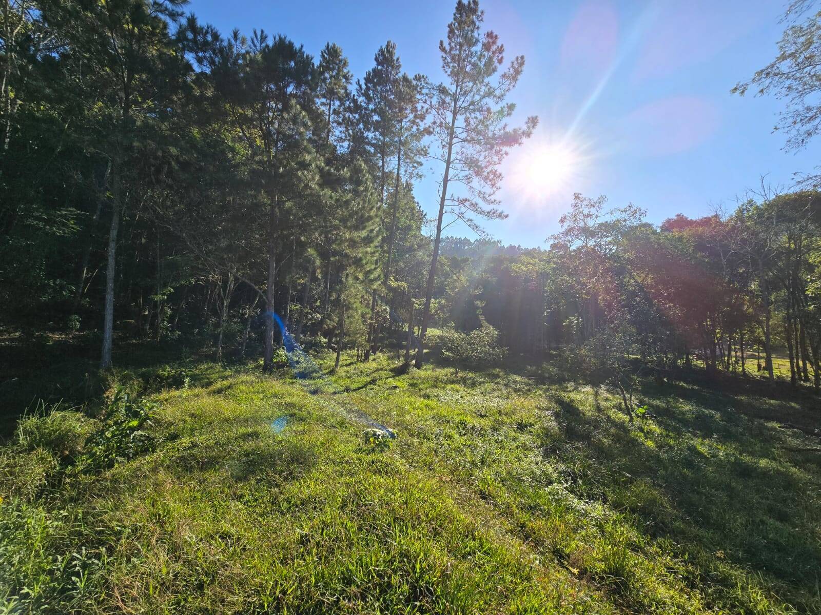 Terreno, 3 m² - Foto 13