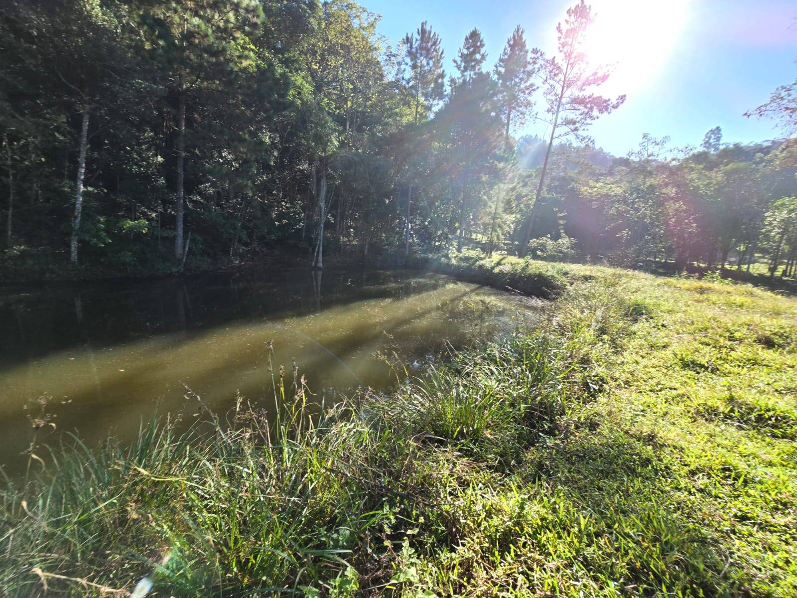 Terreno, 3 m² - Foto 2