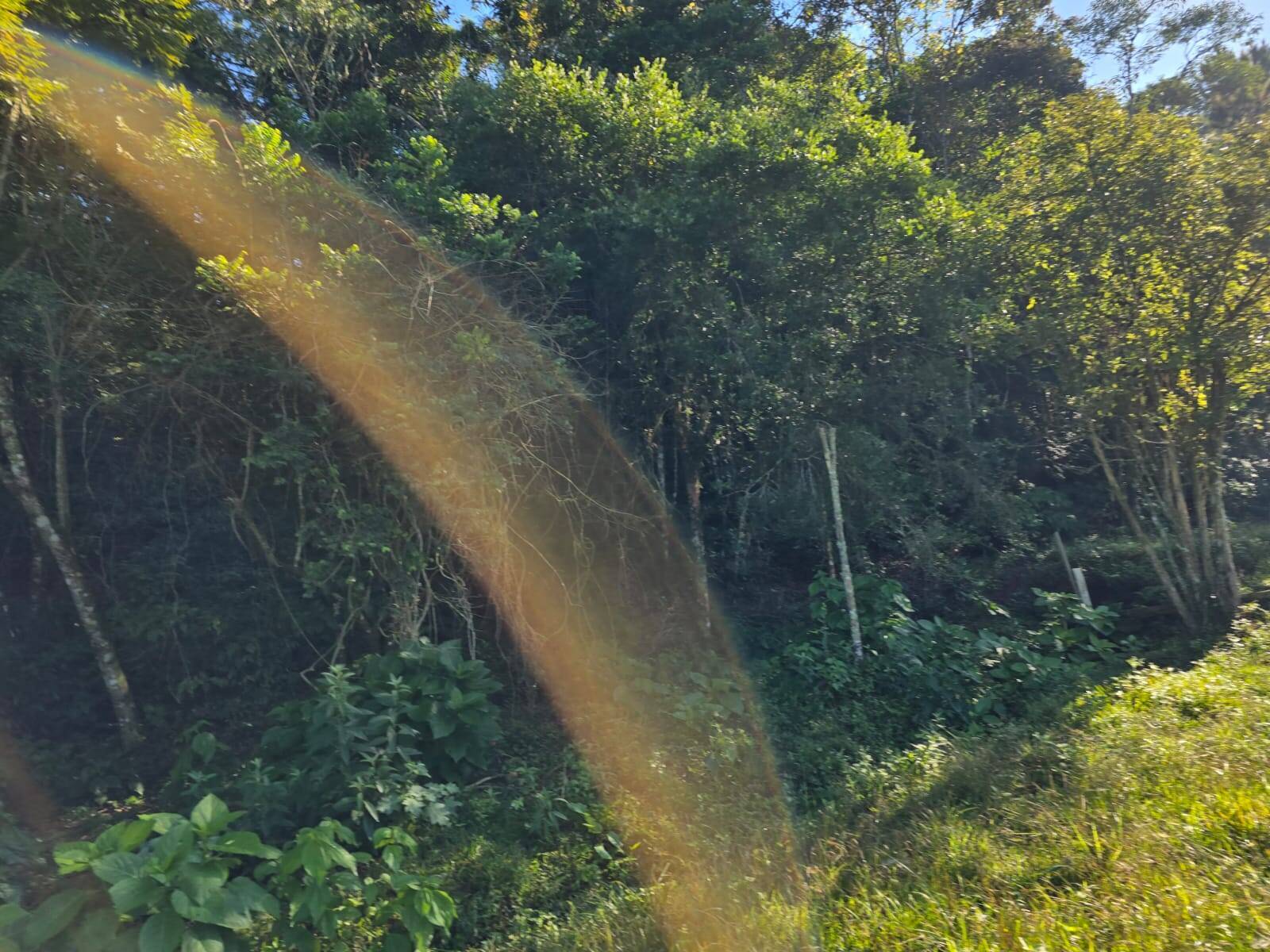 Terreno, 3 m² - Foto 17