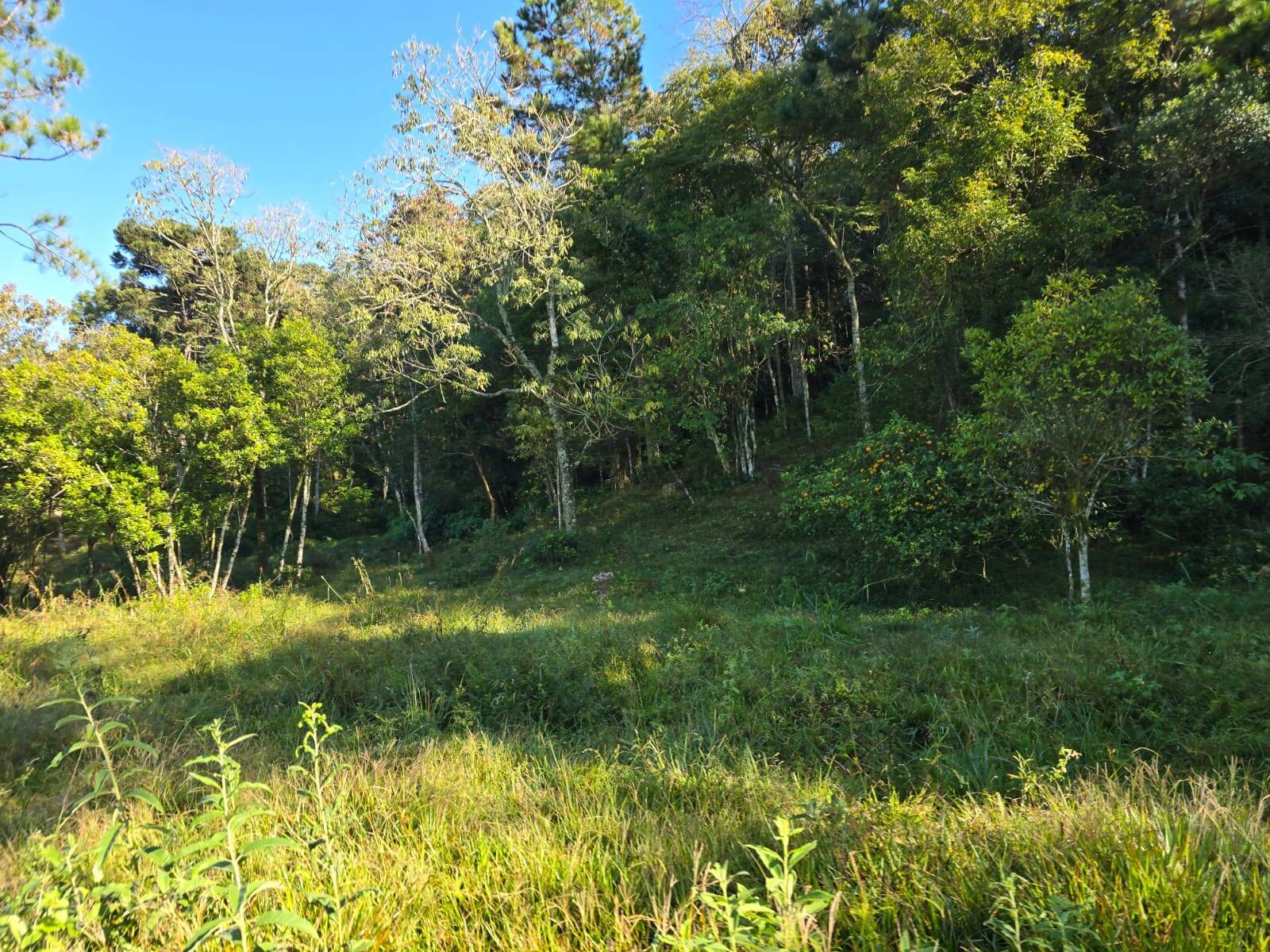 Terreno, 3 m² - Foto 18