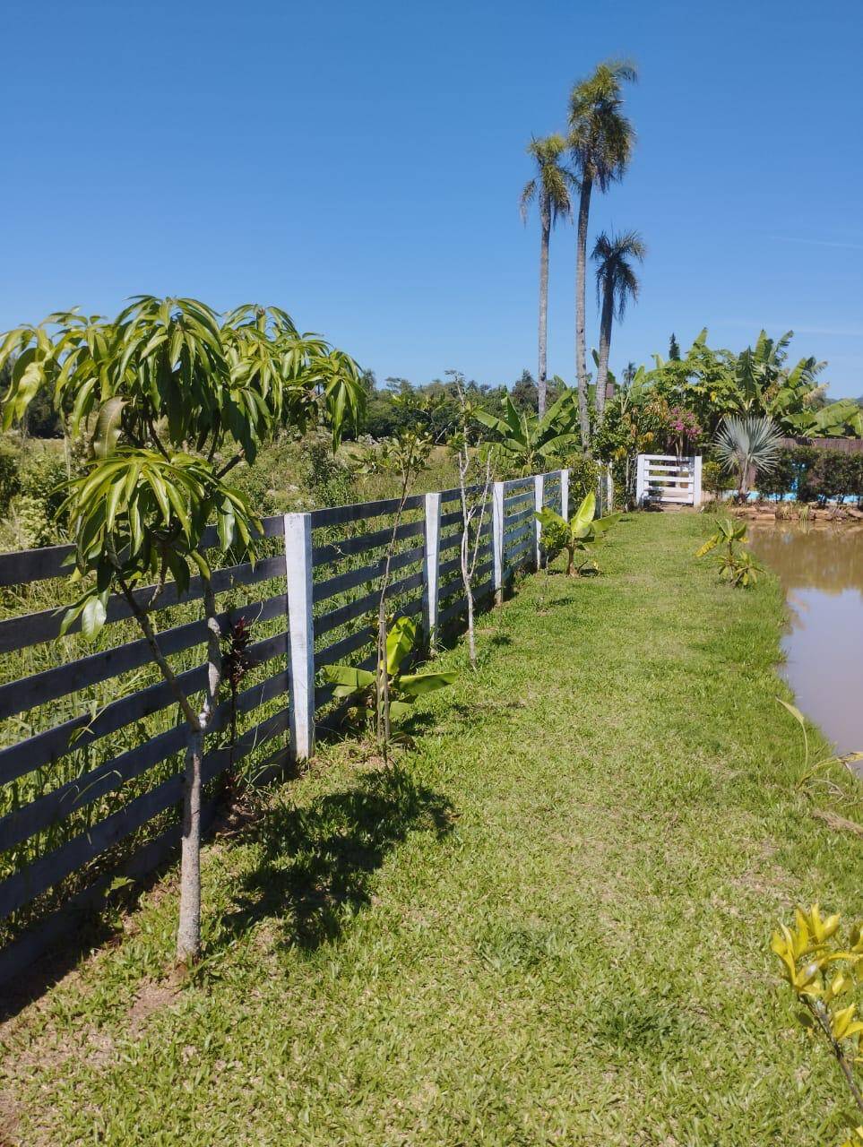 Chácara, 4 quartos, 1 hectares - Foto 45