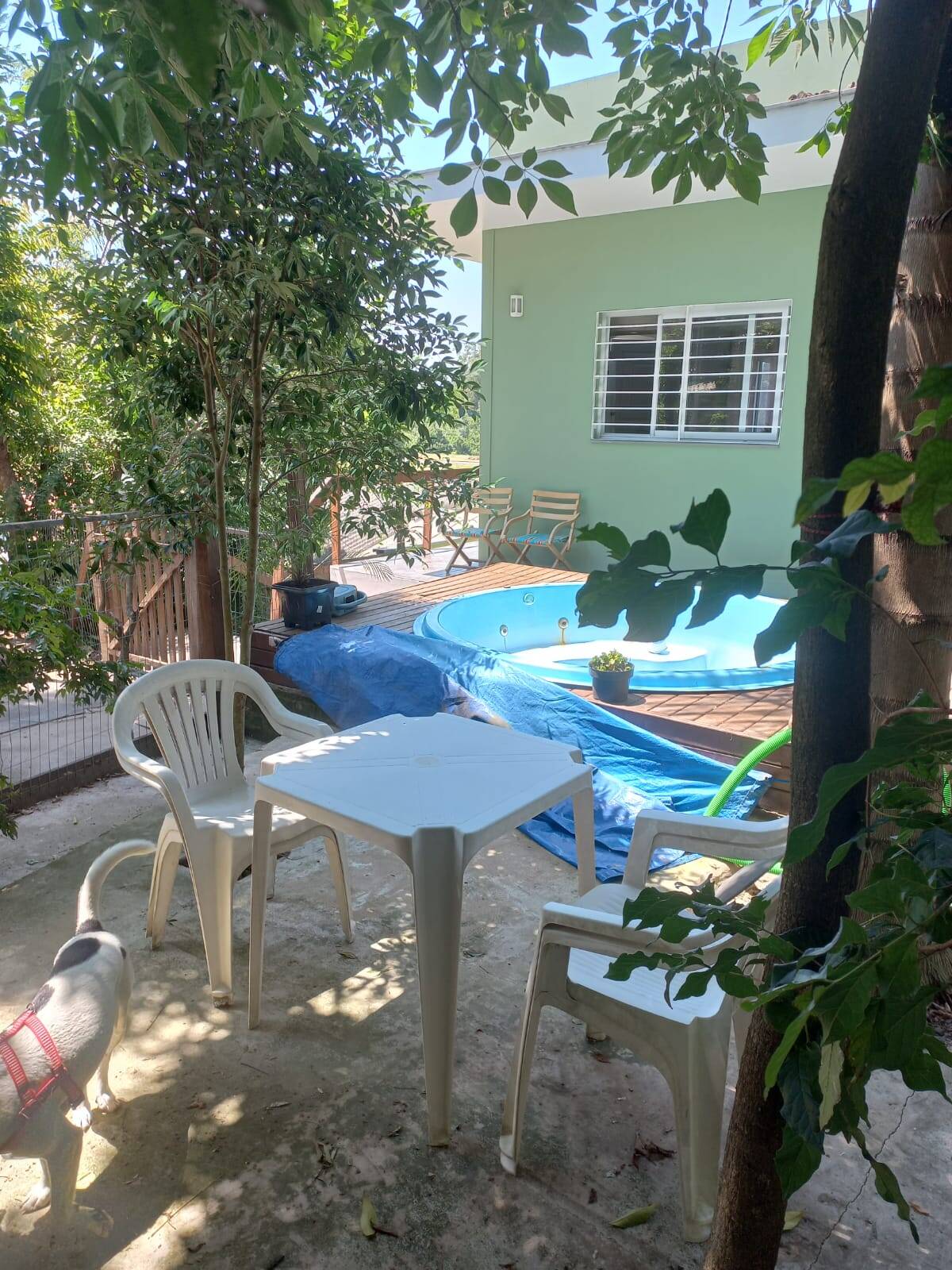 Sítio, 2 quartos, 300 m² - Foto 4