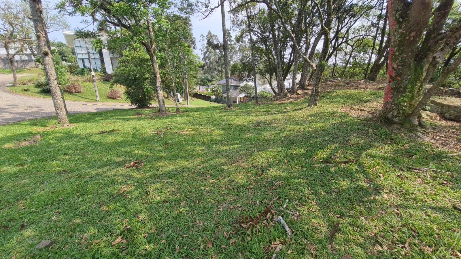 Terreno, 776 m² - Foto 7
