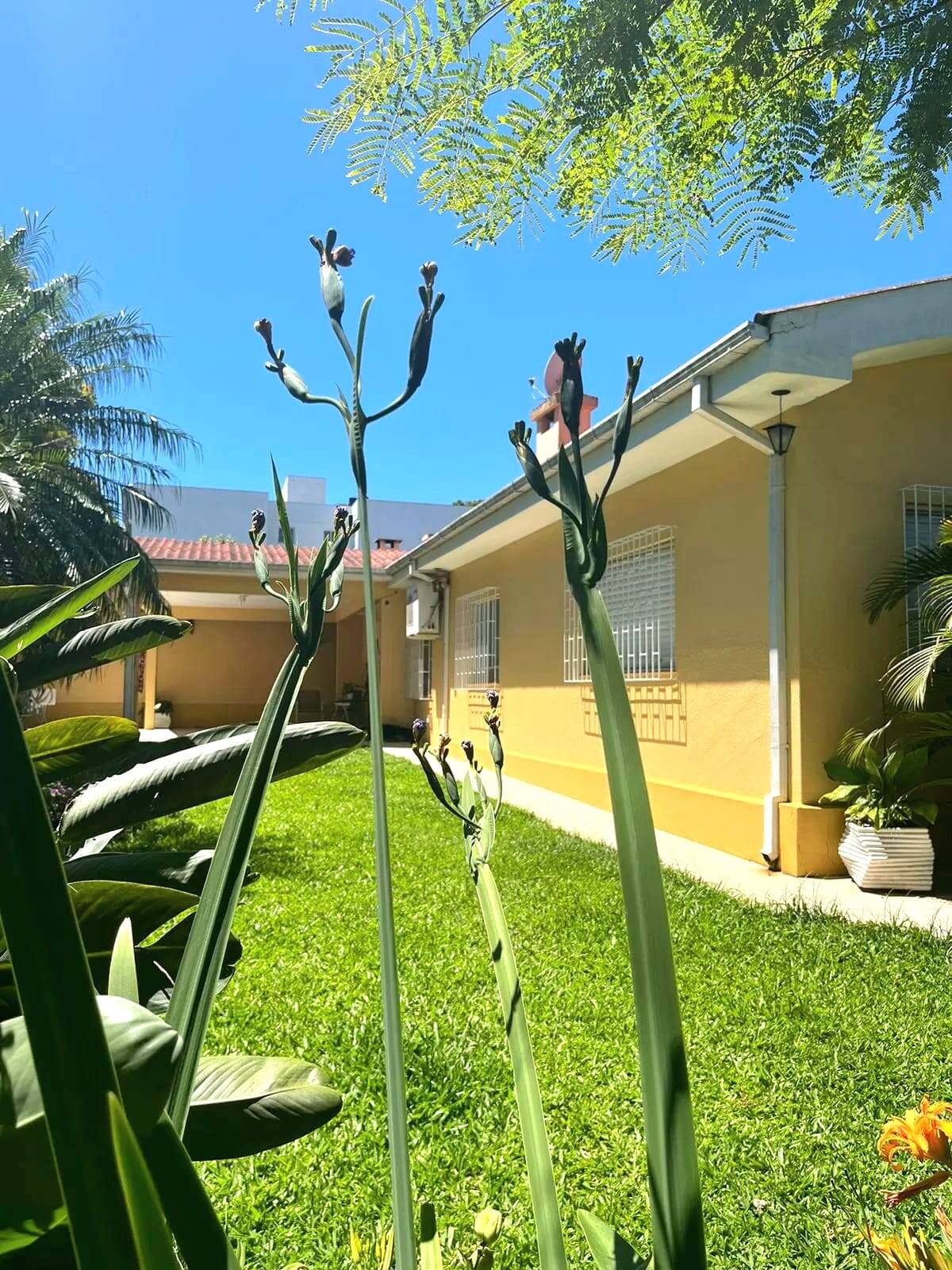 Casa, 4 quartos, 22383 m² - Foto 20