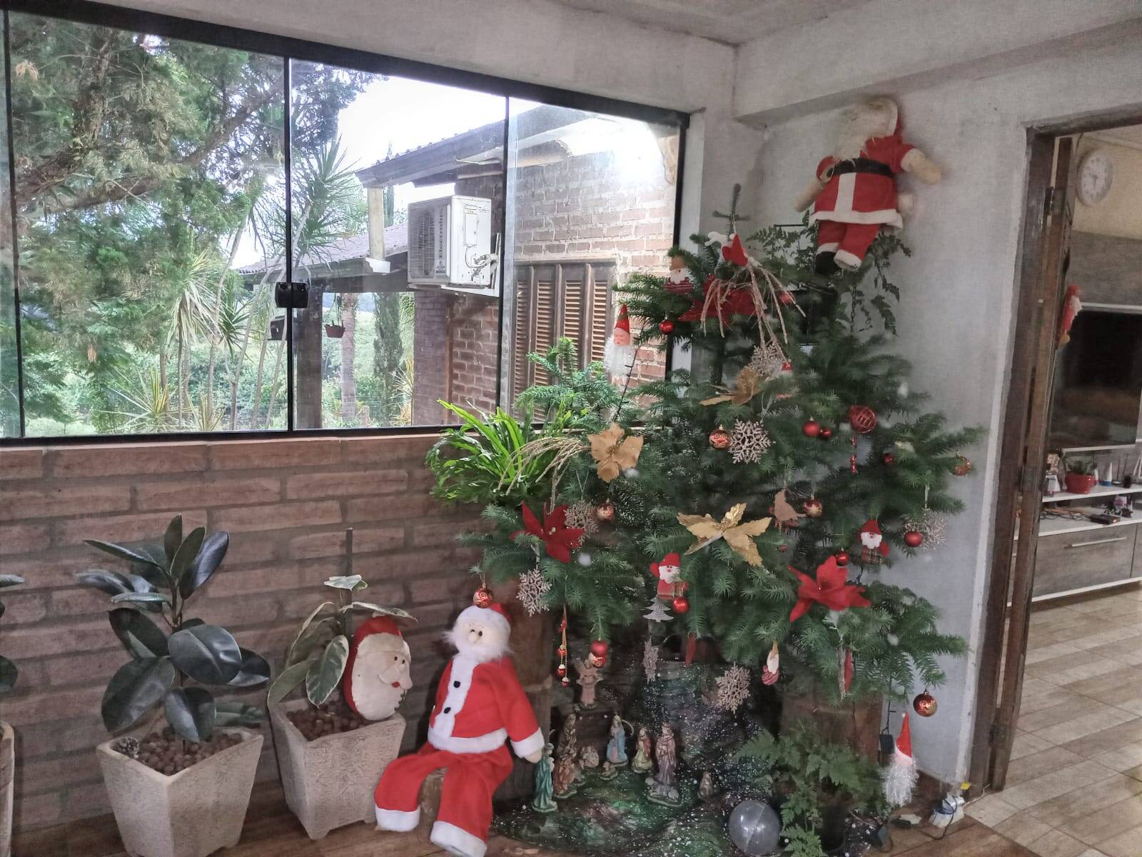 Chácara, 2 quartos, 4500 m² - Foto 4