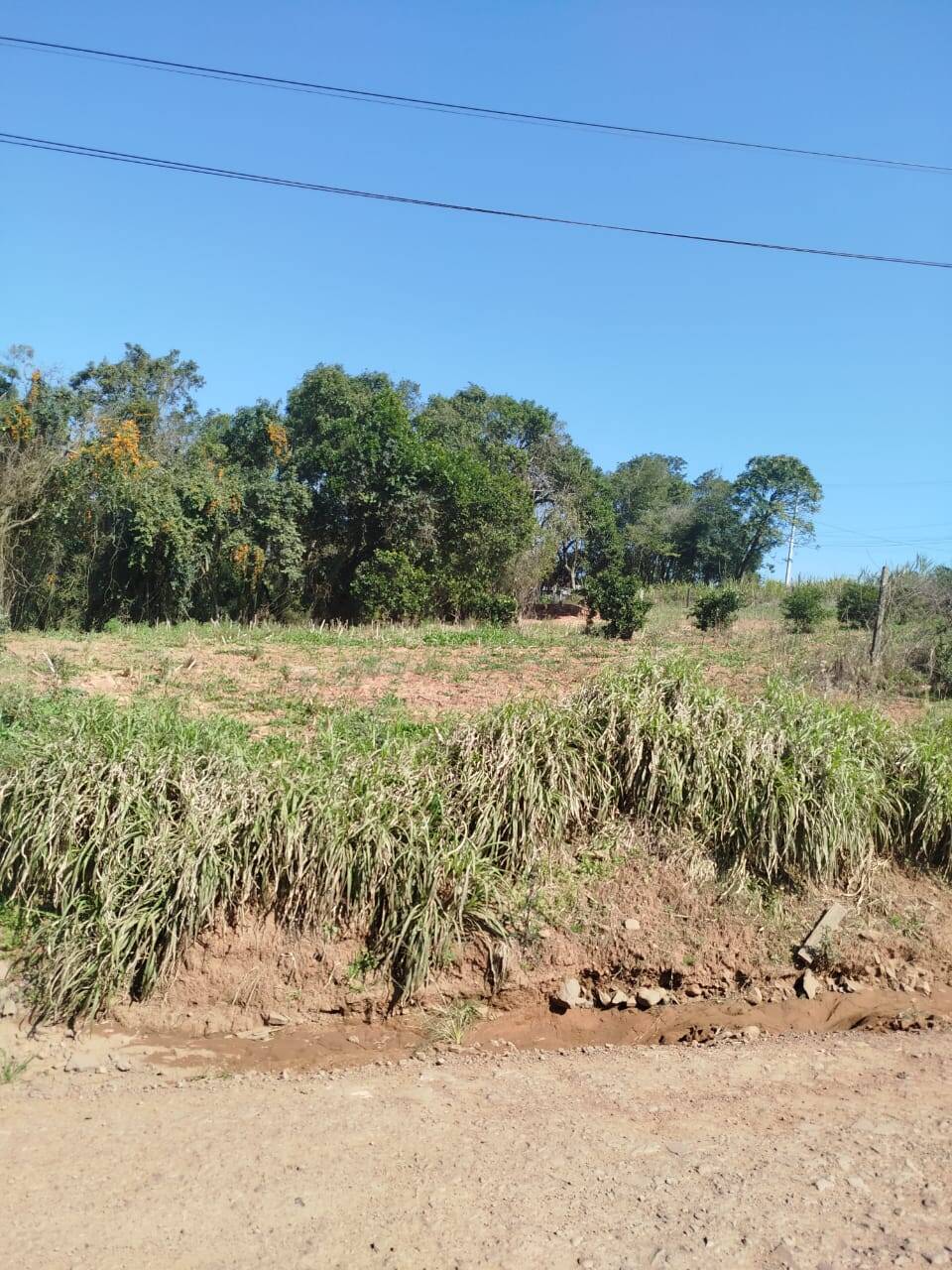 Terreno, 6300 m² - Foto 3