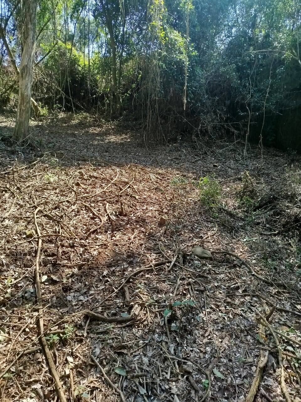 Terreno, 6300 m² - Foto 7