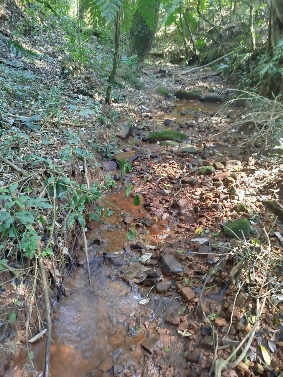 Terreno, 6300 m² - Foto 8