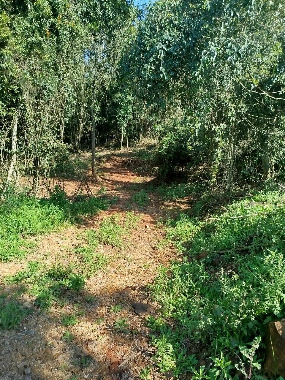 Terreno, 6300 m² - Foto 11