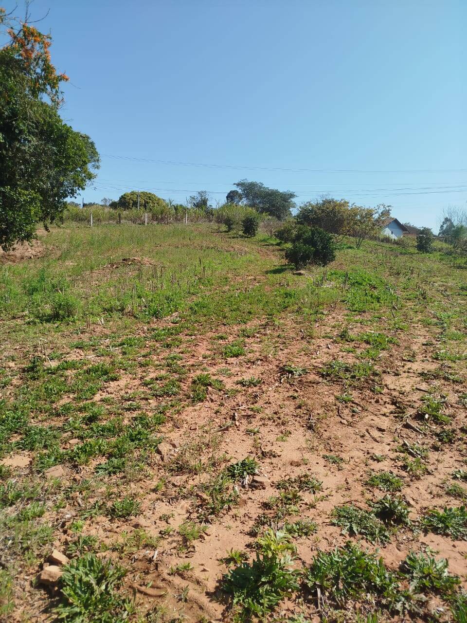 Terreno, 6300 m² - Foto 4