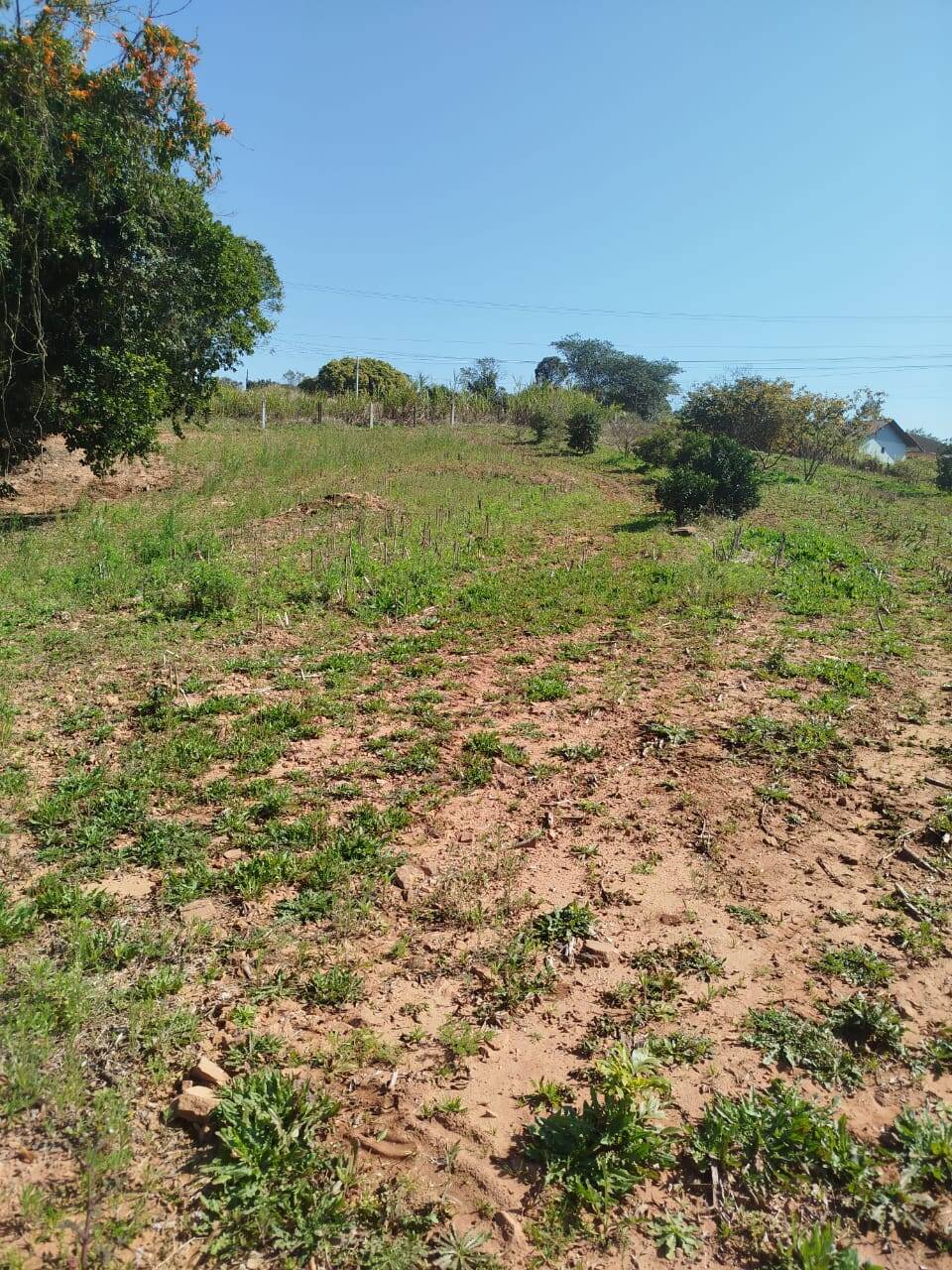 Terreno, 6300 m² - Foto 2