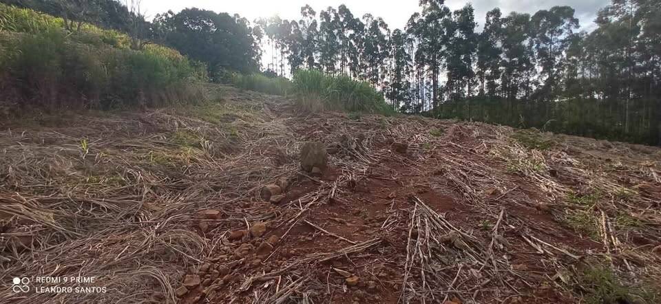 Terreno, 4 hectares - Foto 1