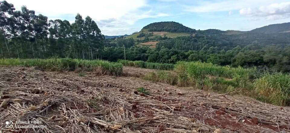 Terreno, 4 hectares - Foto 2