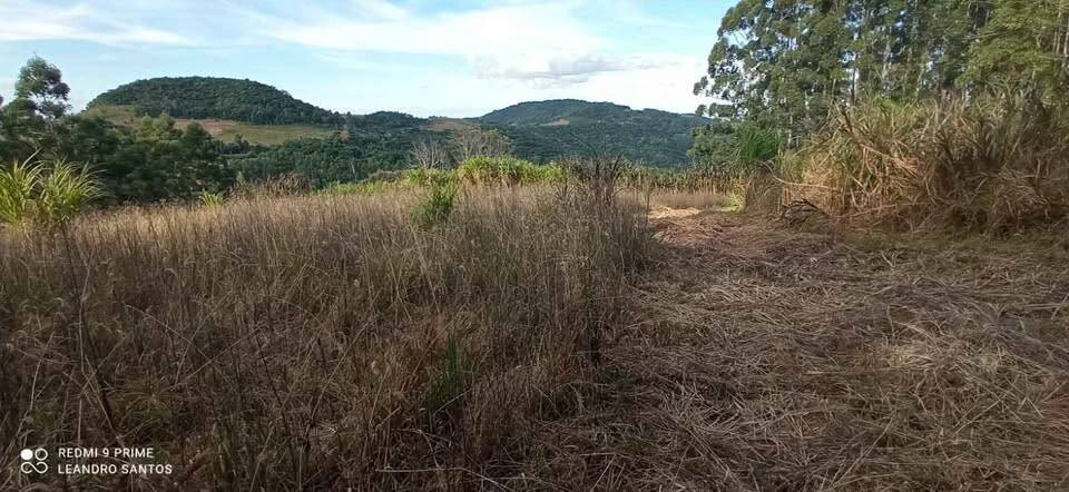 Terreno, 4 hectares - Foto 5