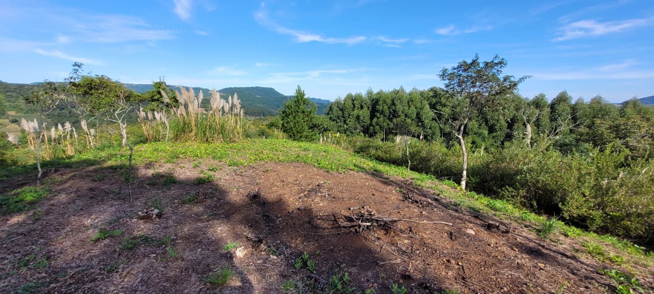 Sítio, 3 quartos, 15 hectares - Foto 20