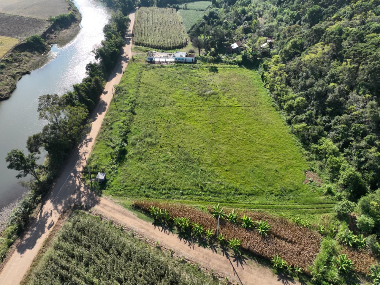 Fazenda, 15 hectares - Foto 4