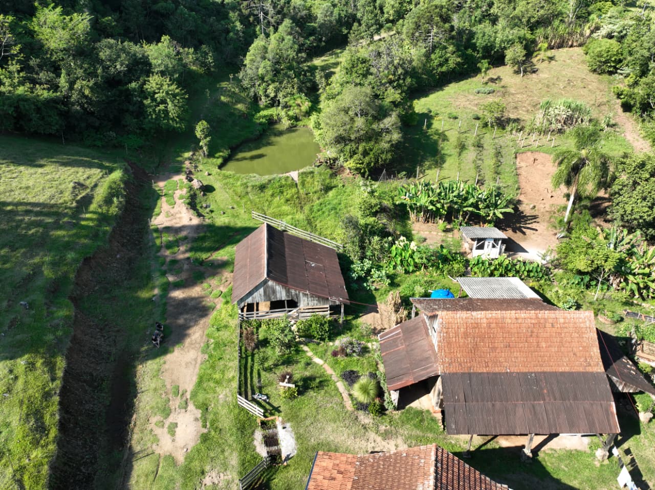 Fazenda, 15 hectares - Foto 1