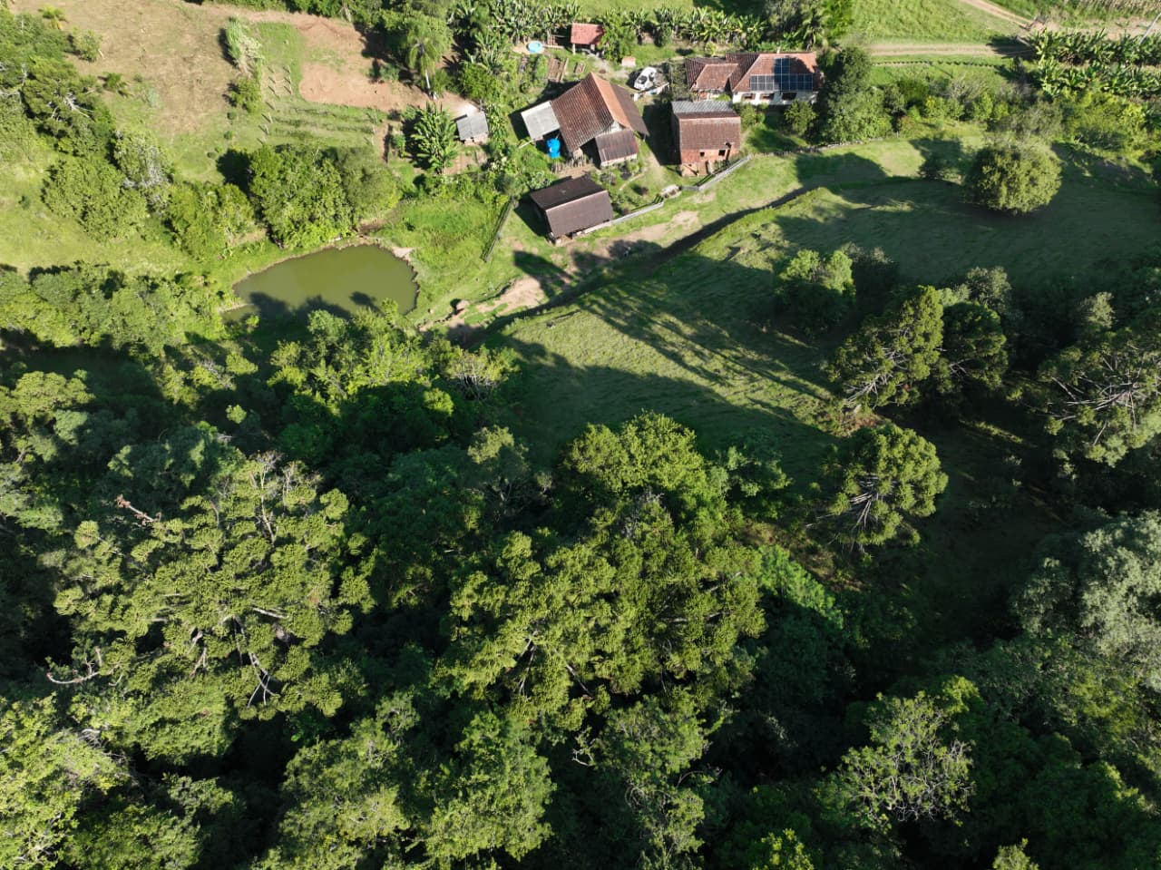 Sítio, 3 quartos, 15 hectares - Foto 6