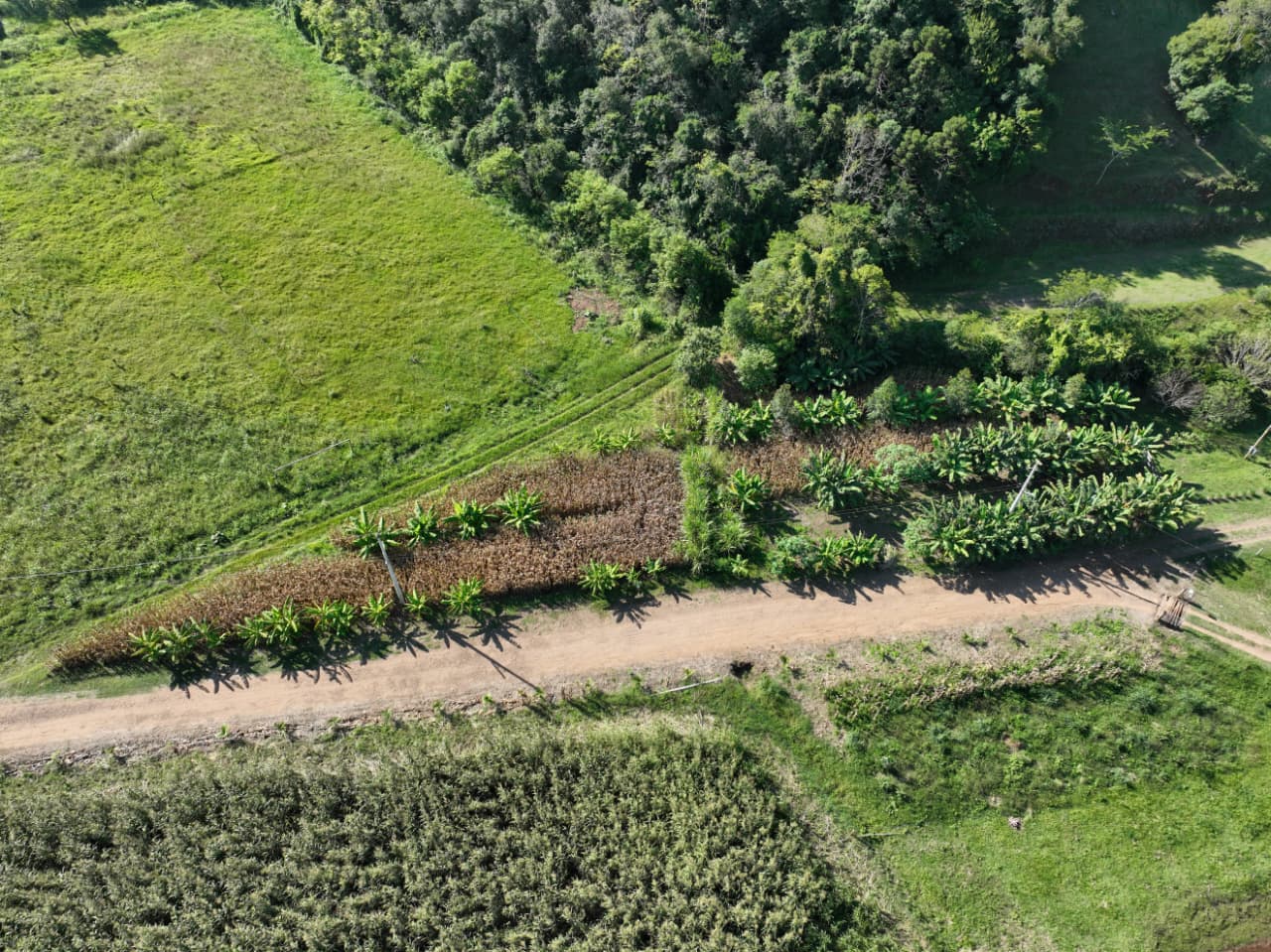 Fazenda, 15 hectares - Foto 3