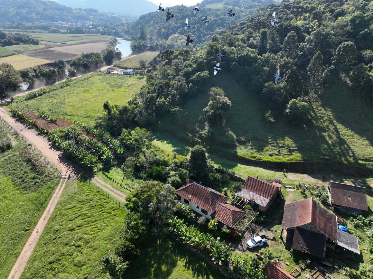 Sítio, 3 quartos, 15 hectares - Foto 11