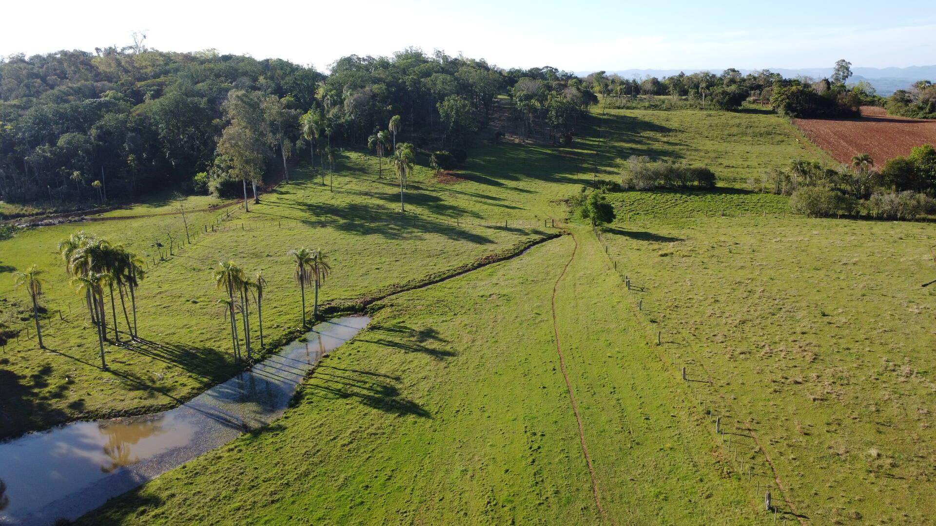 Sítio, 2 quartos, 120 m² - Foto 28