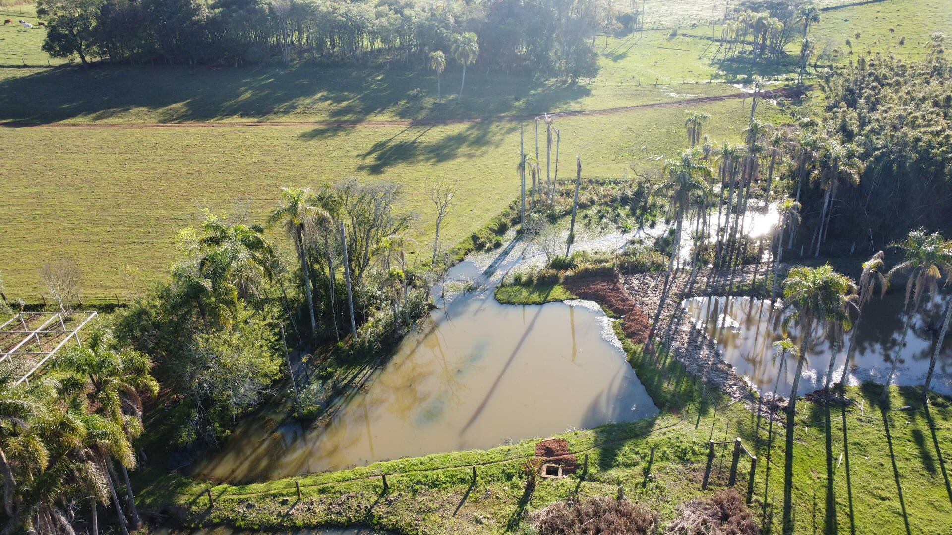 Sítio, 2 quartos, 120 m² - Foto 21