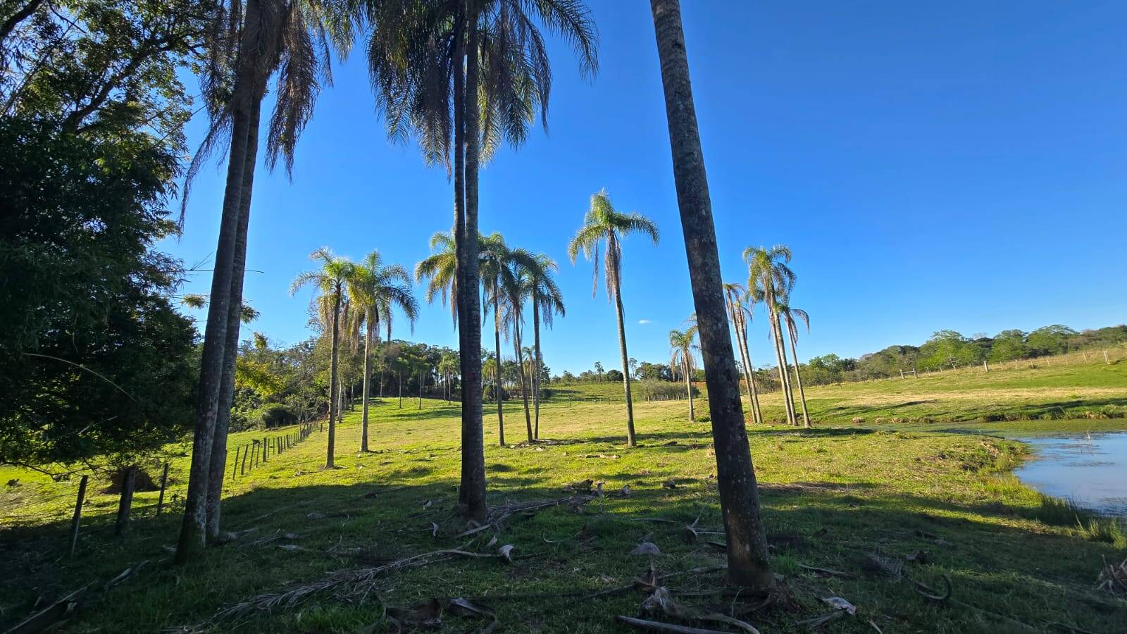 Sítio, 2 quartos, 120 m² - Foto 25