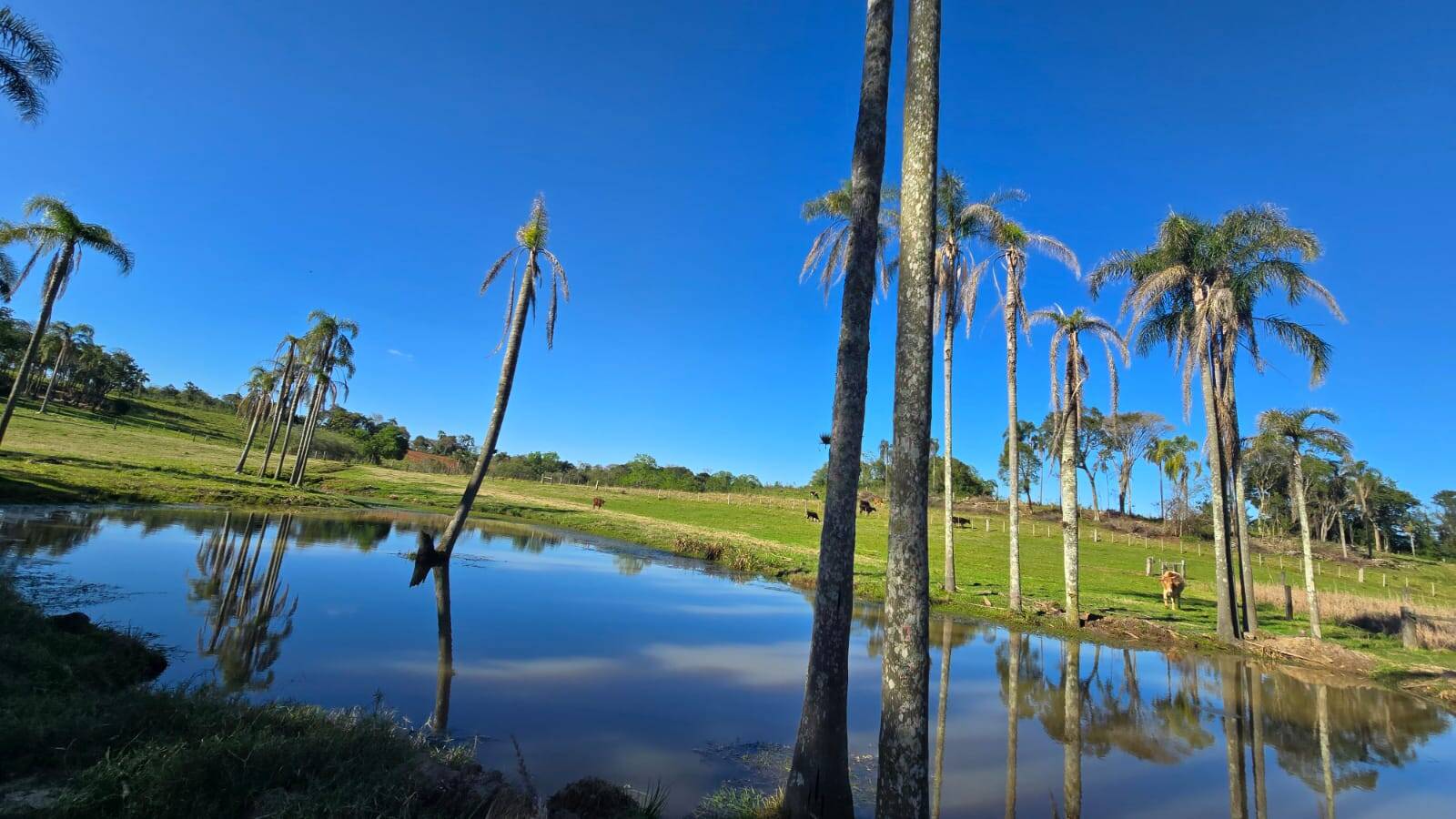 Sítio, 2 quartos, 120 m² - Foto 22