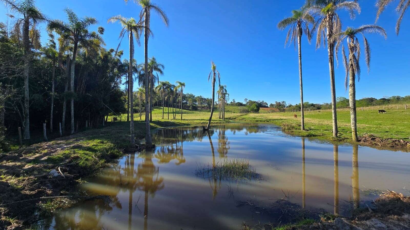 Sítio, 2 quartos, 120 m² - Foto 23